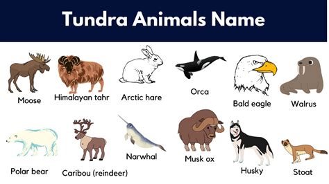 Tundra Words .